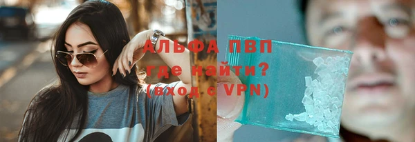 сатива Арсеньев