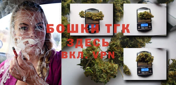 сатива Арсеньев