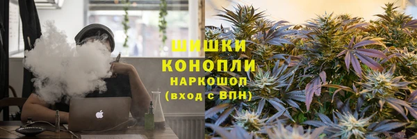 сатива Арсеньев