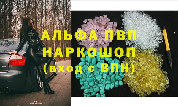 сатива Арсеньев