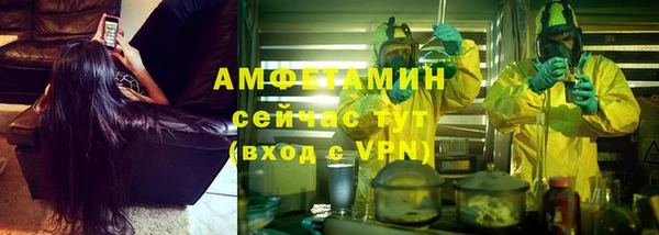 сатива Арсеньев
