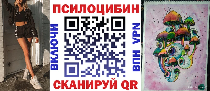 Псилоцибиновые грибы Cubensis  хочу   Железногорск-Илимский 